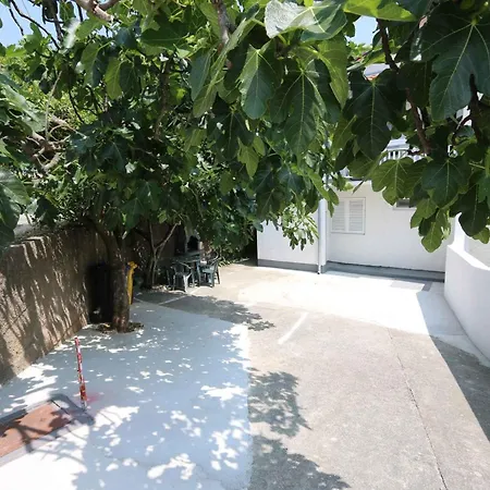 In - Insel Krk 14597 실로
